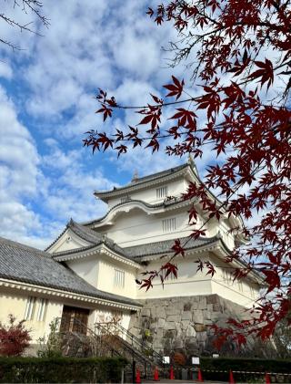 大多喜城の登城記録(まるまるさん)