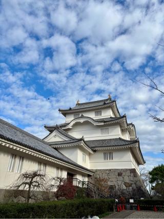 大多喜城の登城記録(まるまるさん)
