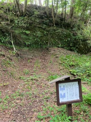 大多喜城の登城記録(監督さん)