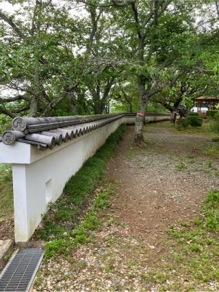 大多喜城の登城記録(監督さん)