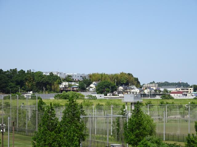 神奈川県横浜市港北区新羽町１０３９ 亀甲山城（亀之甲山陣城）の写真1