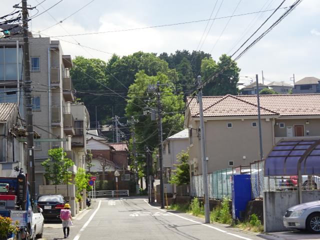 神奈川県横浜市港北区鳥山町281-1 鳥山城（鳥山館・佐々木四郎高綱館）の写真1