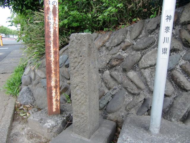 神奈川県座間市入谷西3丁目44-30 白井織部是房屋敷（白井氏館、座間城、白井織部是房館）の写真1