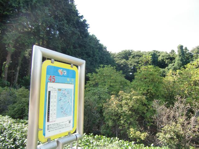 神奈川県大和市下鶴間 下鶴間城山（鶴間城・山中修理助貞信塁、下鶴間城）の写真1