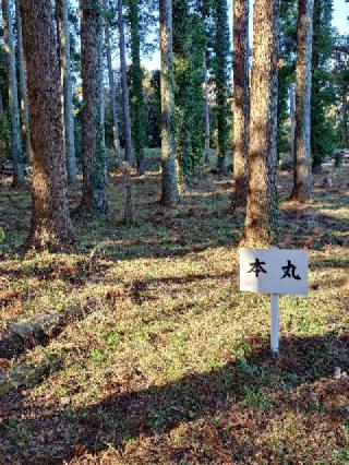 佐貫城の登城記録(気分は上昇さん)