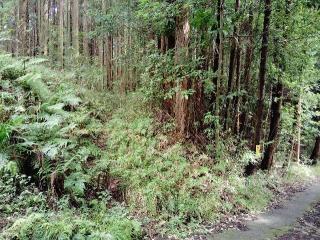 苅野丸山城の登城記録(影武者さん)