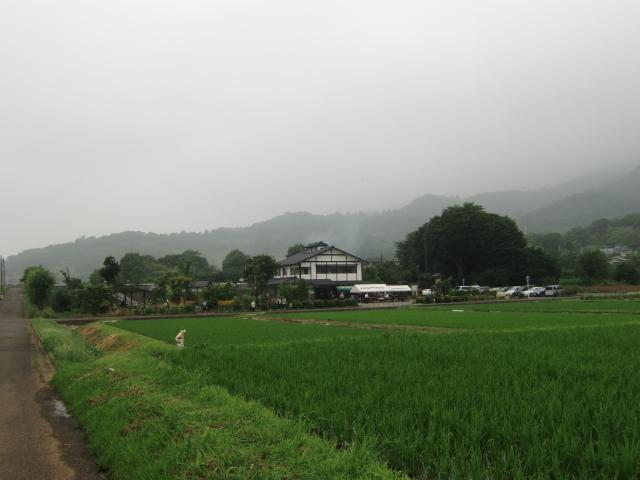神奈川県秦野市東田原 東田原中丸館（東田原城、東田原中丸遺跡・波多野忠綱館）の写真1