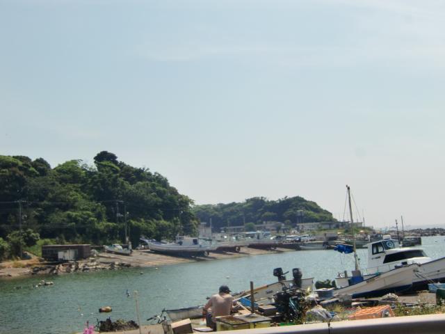 神奈川県横須賀市長井 長井城（長井五郎義季館）の写真1