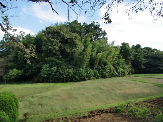 神奈川県厚木市岡津古久 岡津古久城（岡津古久城山）の写真1
