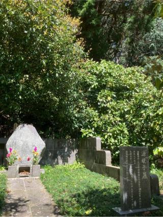 佐竹山塁の登城記録(監督さん)