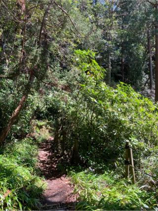 佐竹山塁の登城記録(監督さん)