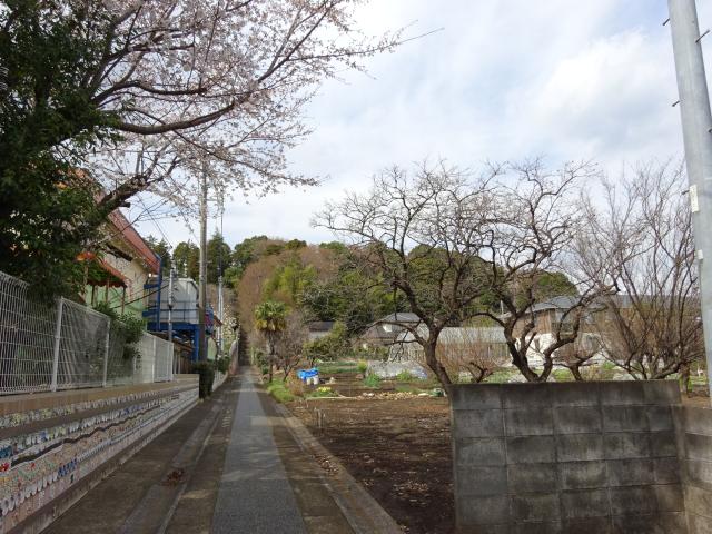 神奈川県川崎市麻生区下麻生1丁目19-6 亀井城の写真1