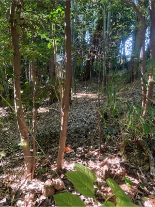 亀井城の登城記録(監督さん)