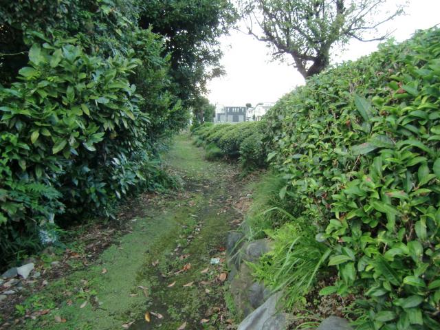 神奈川県秦野市平沢１０８３ 和田屋敷の写真1