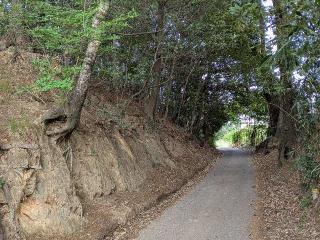 東方城の登城記録(まるさん)