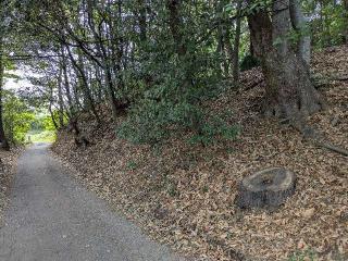 東方城の登城記録(まるさん)