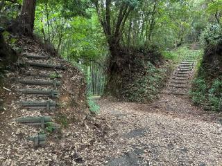 松尾城の登城記録(キャッスルさん)