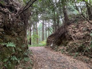 松尾城の登城記録(キャッスルさん)