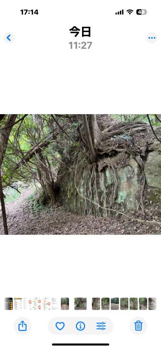 秋元城（小糸城）の登城記録(まさかずさん)