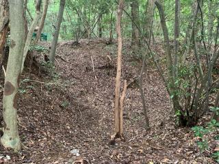 田辺城の登城記録(くーさん)