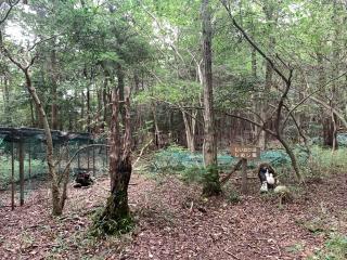 田辺城の登城記録(くーさん)