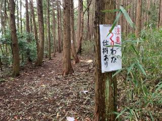下平城の登城記録(くーさん)