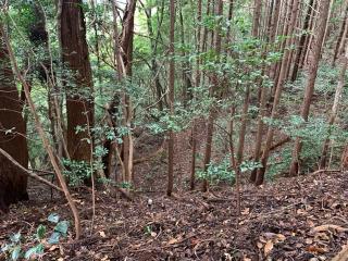 下平城の登城記録(くーさん)