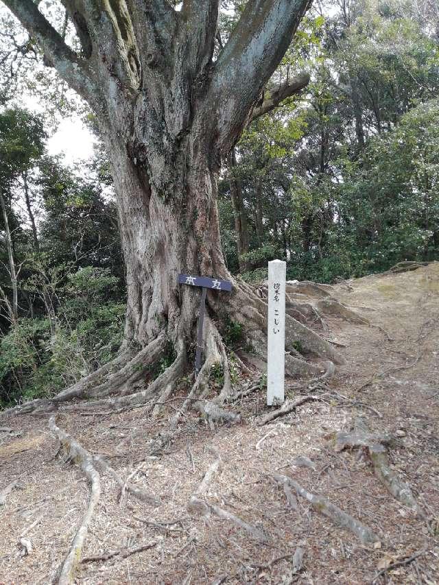 大分県大分市上戸次字利光 鶴賀城の写真5