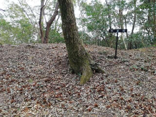 大分県大分市上戸次字利光 鶴賀城の写真6