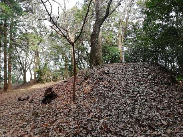 大分県大分市上戸次字利光 鶴賀城の写真9