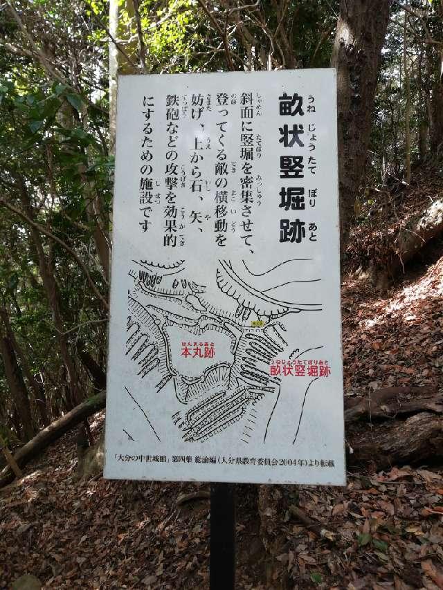 大分県大分市上戸次字利光 鶴賀城の写真10