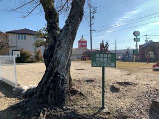 狩宿城の登城記録(くーさん)