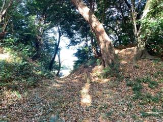 金井城の登城記録(くーさん)