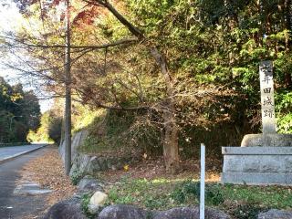 大井田城の登城記録(くーさん)