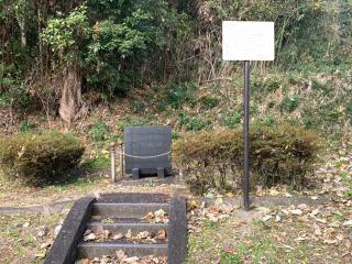 大木城の登城記録(くーさん)