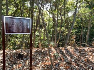 広見城の登城記録(くーさん)