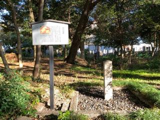 南外山城の登城記録(くーさん)