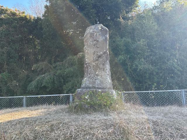 鹿児島県鹿児島市城山２丁目１−１４ 夏蔭城の写真1