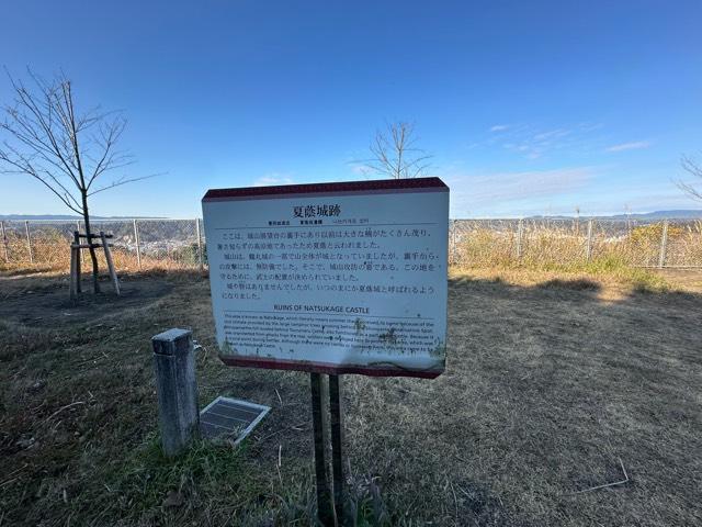 鹿児島県鹿児島市城山２丁目１−１４ 夏蔭城の写真2
