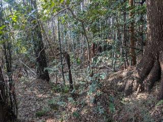 窪之庄城の登城記録(千　百万さん)