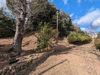 御土居の登城記録(千　百万さん)