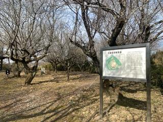 古瀬間城の登城記録(くーさん)