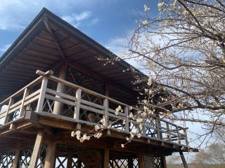 古瀬間城の登城記録(くーさん)