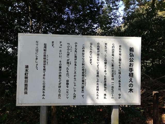 鹿児島県鹿児島県 松尾城跡の写真3