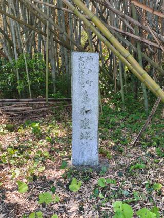 和泉城の登城記録(マリリさん)