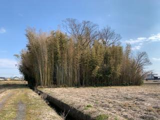 和泉城の登城記録(くーさん)