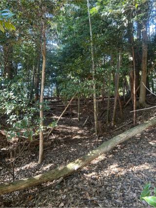 山本城の登城記録(かのんさん)