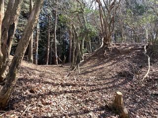 須川山砦の登城記録(くーさん)