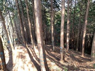 須川山砦の登城記録(くーさん)