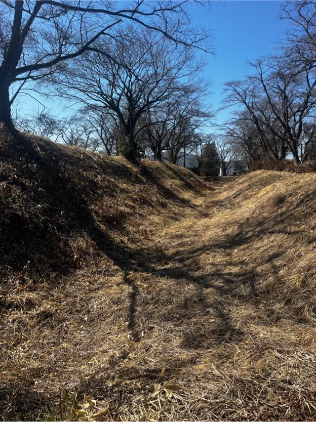 栃木県栃木県矢板市早川町174 御前原城の写真1